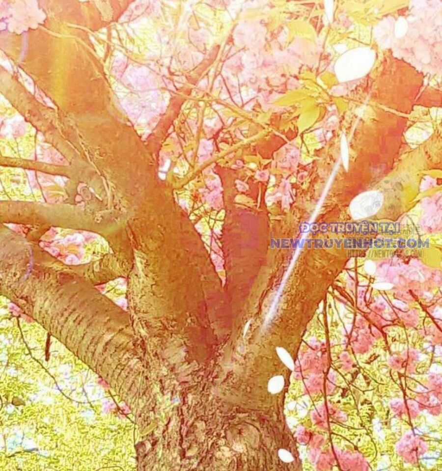 Nhà Soạn Nhạc Thiên Tài Đã Trở Lại Chương 54 trang 129