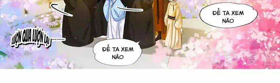 Nhà Ta Có Tiểu Thiếp Chapter 173 trang 13