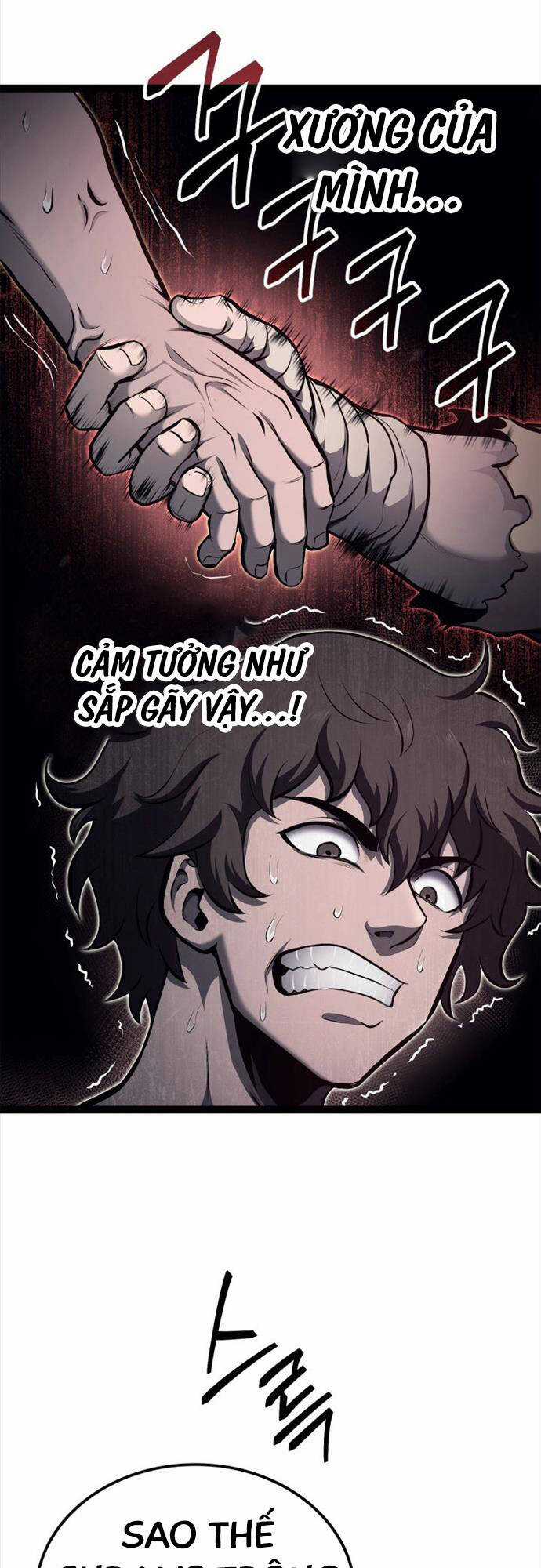 Nhà Vô Địch Kalli Chương 30 trang 24