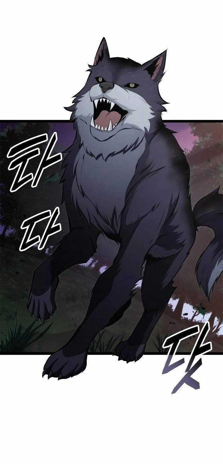 Nhà Vô Địch Kalli Chương 64 trang 39