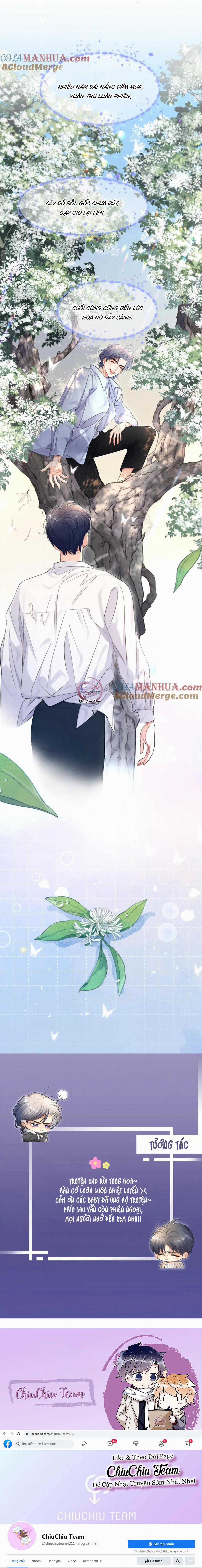 Nhân Ngư Desharow Chapter 124 trang 14