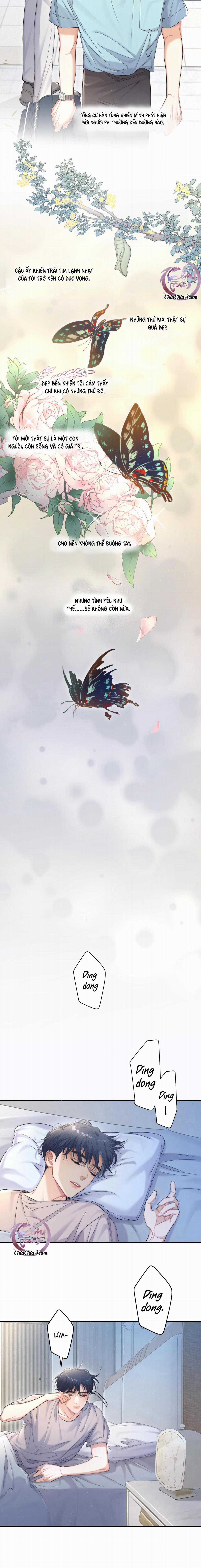 Nhân Ngư Desharow Chapter 70 trang 3