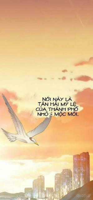 Nhân Ngư Học Trưởng, Đừng Ôm Ta! Chapter 1 trang 1