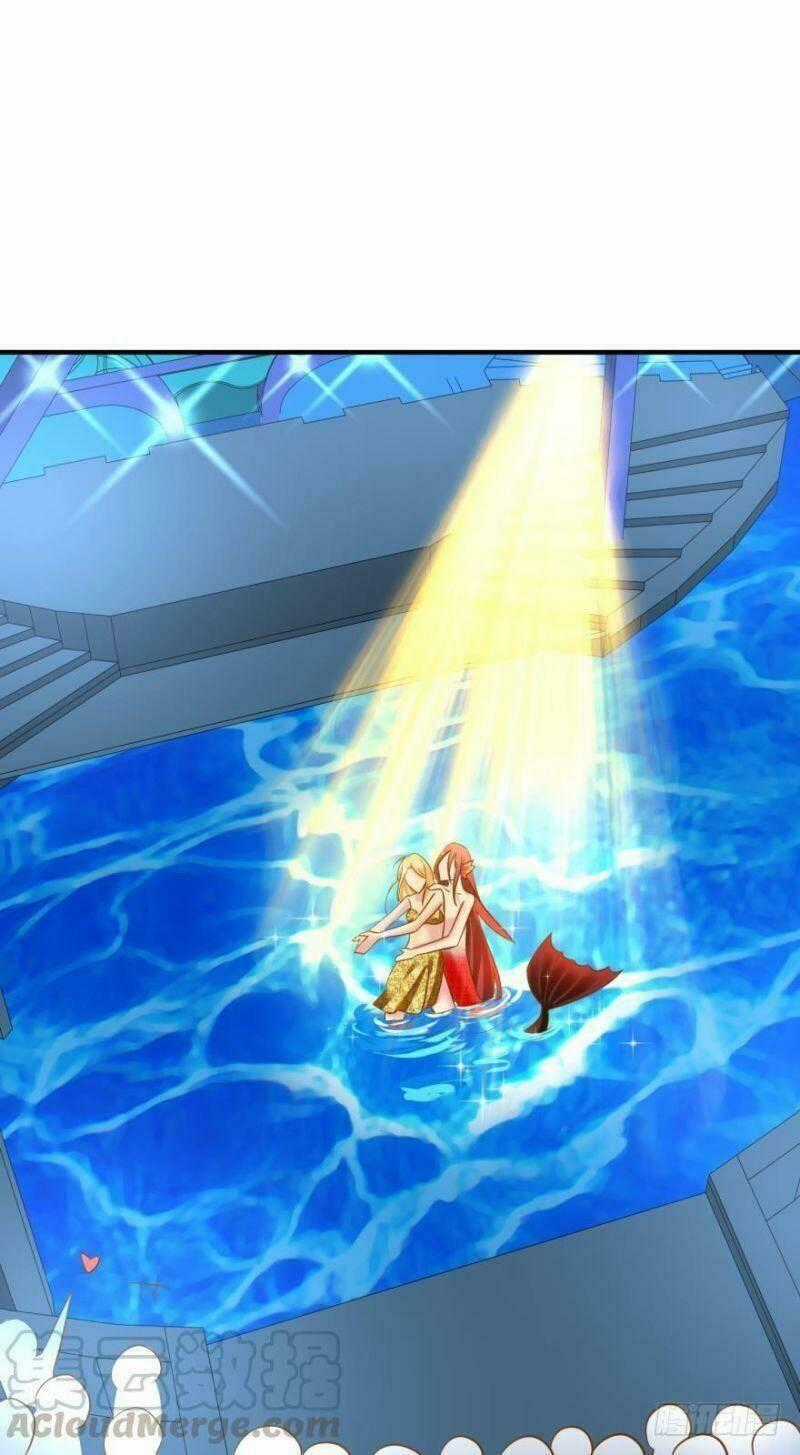 Nhân Ngư Học Trưởng, Đừng Ôm Ta! Chapter 58 trang 1