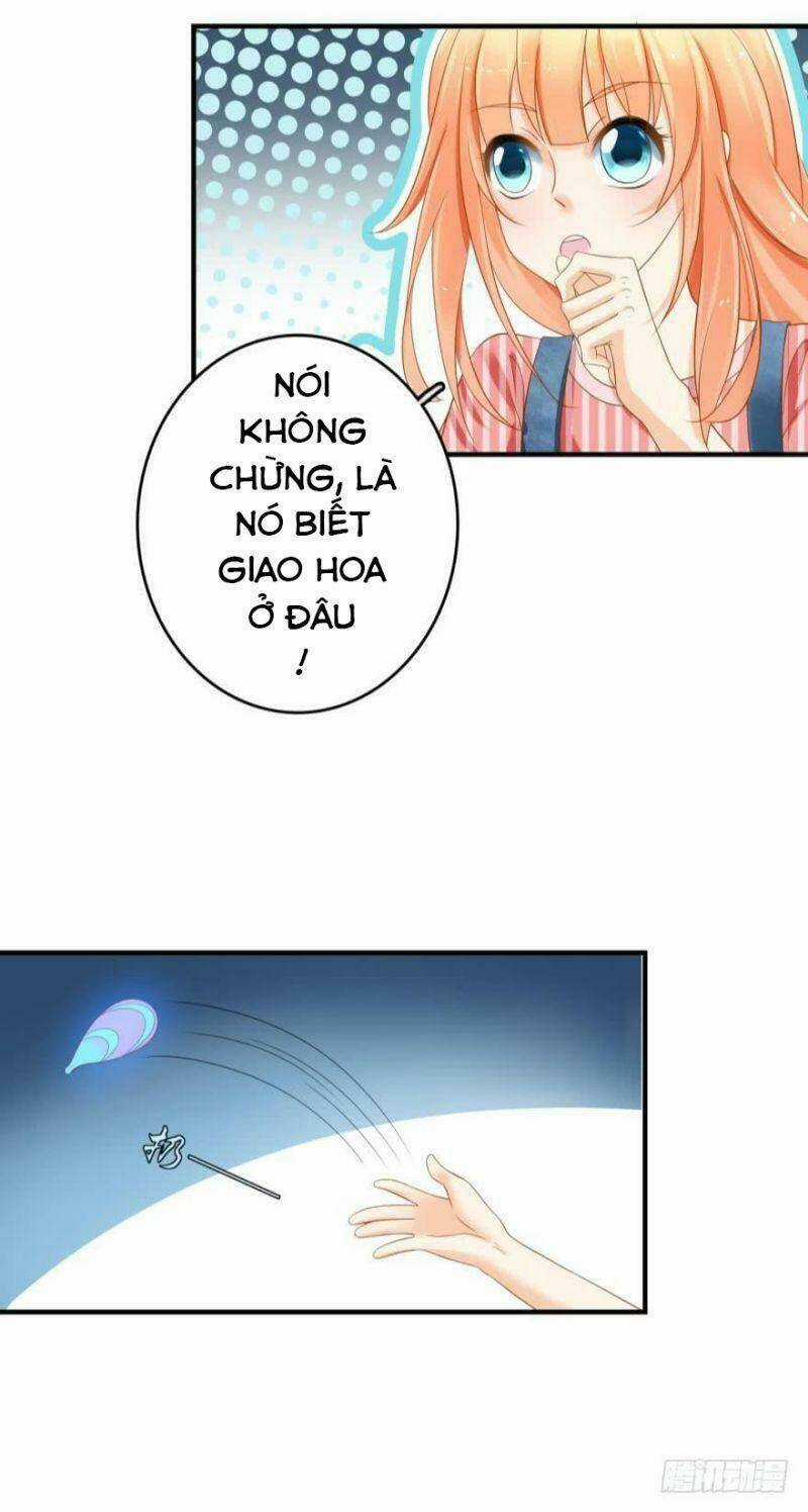 Nhân Ngư Học Trưởng, Đừng Ôm Ta! Chapter 64 trang 3