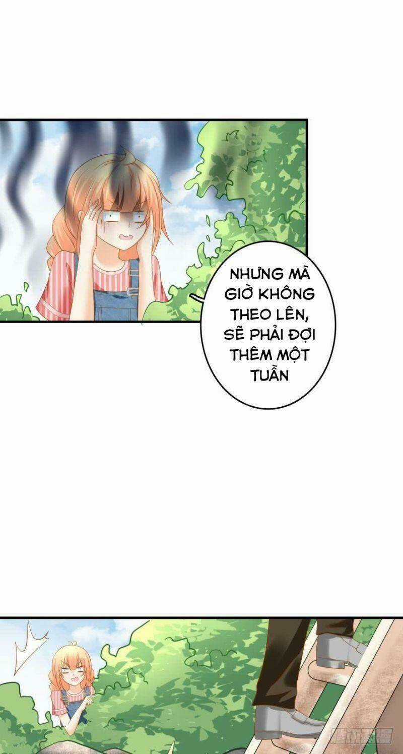 Nhân Ngư Học Trưởng, Đừng Ôm Ta! Chapter 64 trang 31