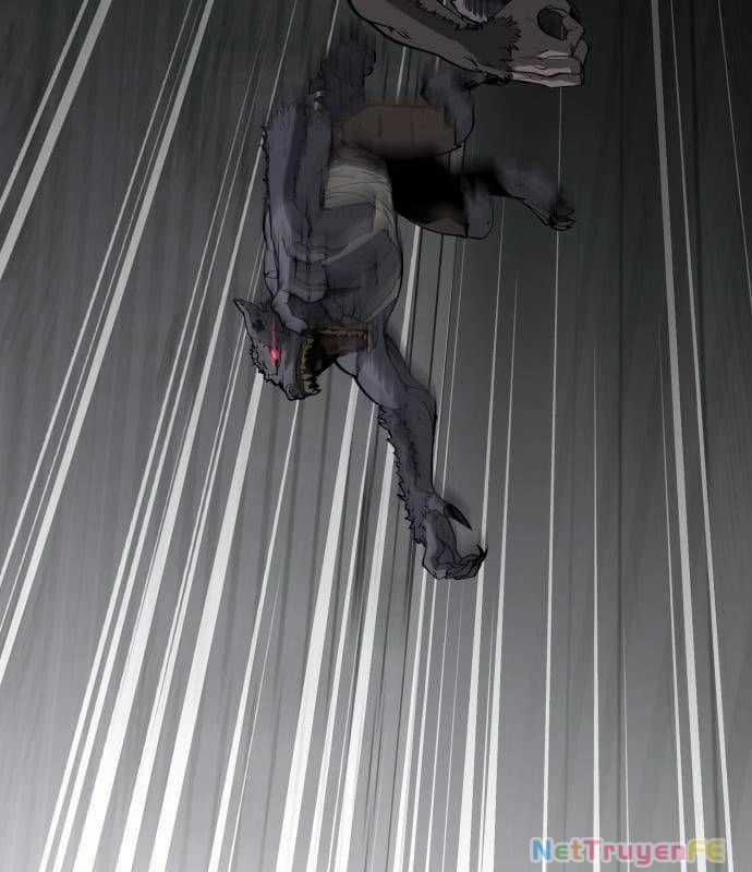 Nhân Vật Chính Ẩn Giấu Sức Mạnh Chapter 19 trang 230