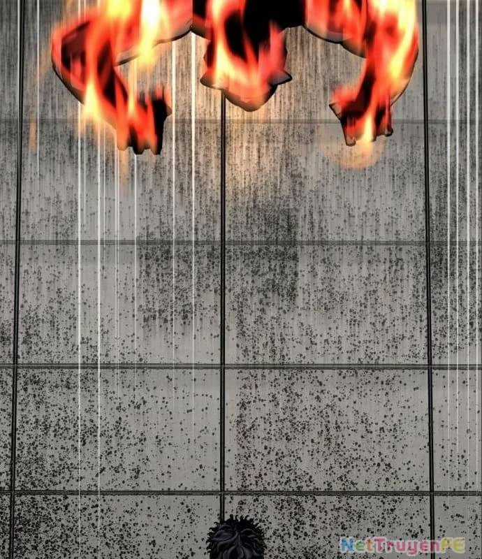 Nhân Vật Chính Ẩn Giấu Sức Mạnh Chapter 20 trang 187