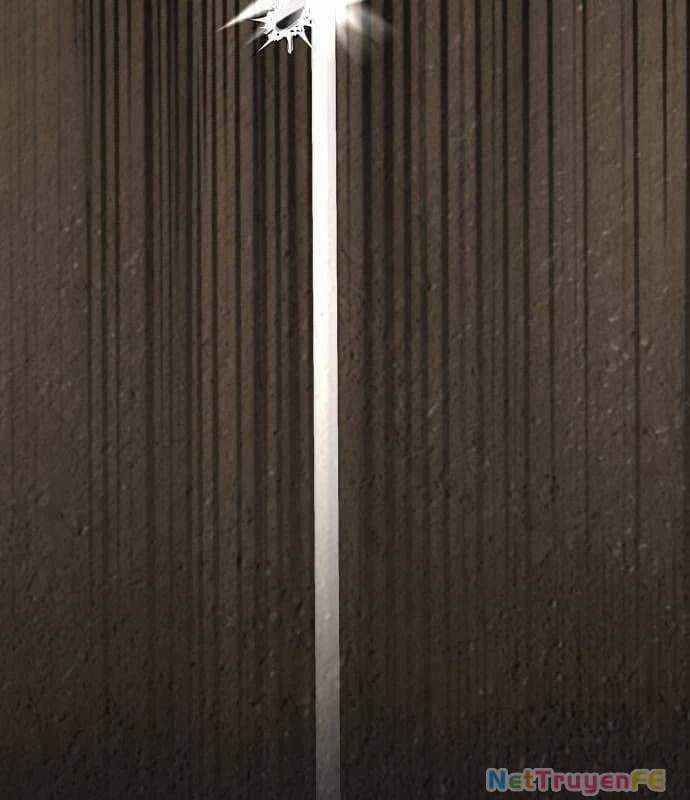 Nhân Vật Chính Ẩn Giấu Sức Mạnh Chapter 24 trang 69