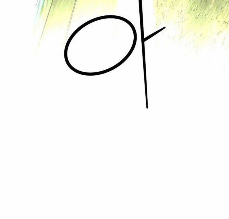 Nhân Vật Chính Ẩn Giấu Sức Mạnh Chapter 29 trang 167