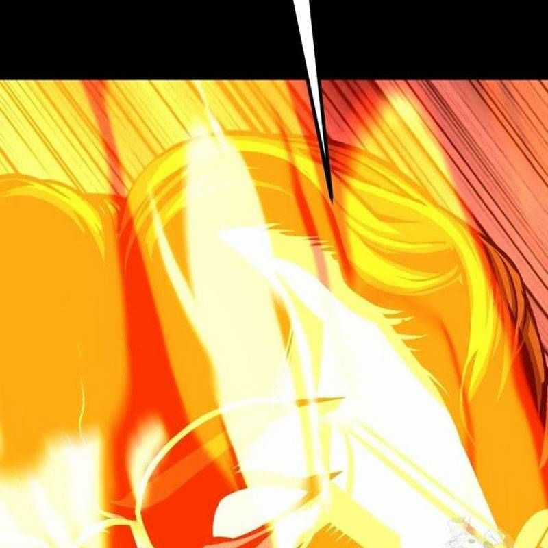 Nhân Vật Chính Ẩn Giấu Sức Mạnh Chapter 30 trang 205