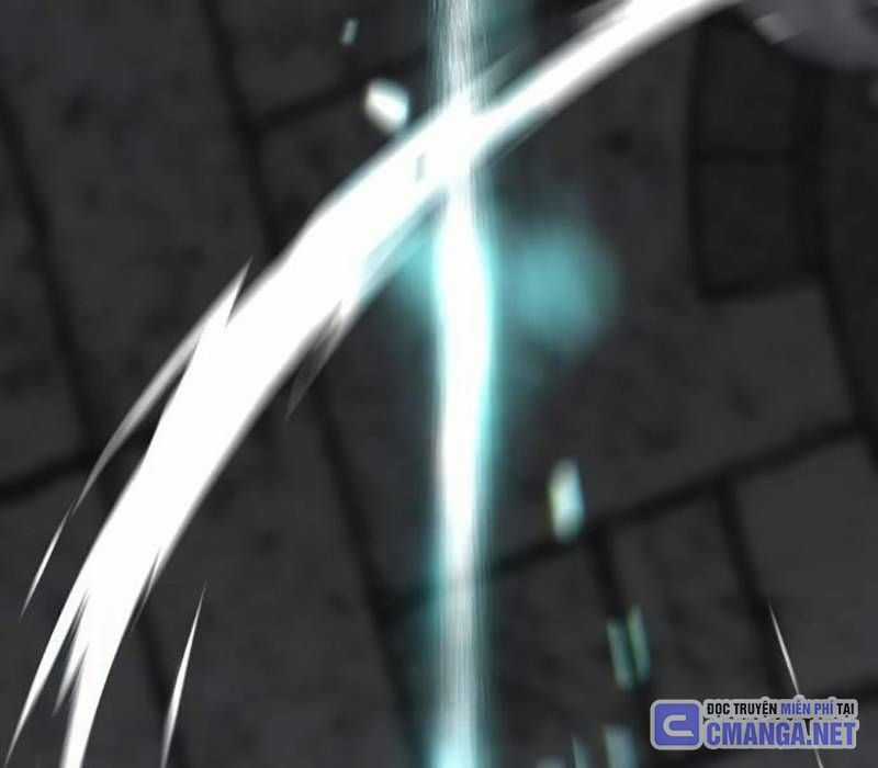 Nhân Vật Chính Ẩn Giấu Sức Mạnh Chapter 34 trang 225