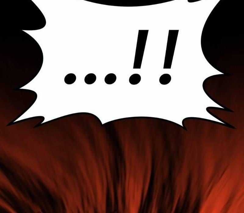 Nhân Vật Chính Ẩn Giấu Sức Mạnh Chapter 34 trang 335