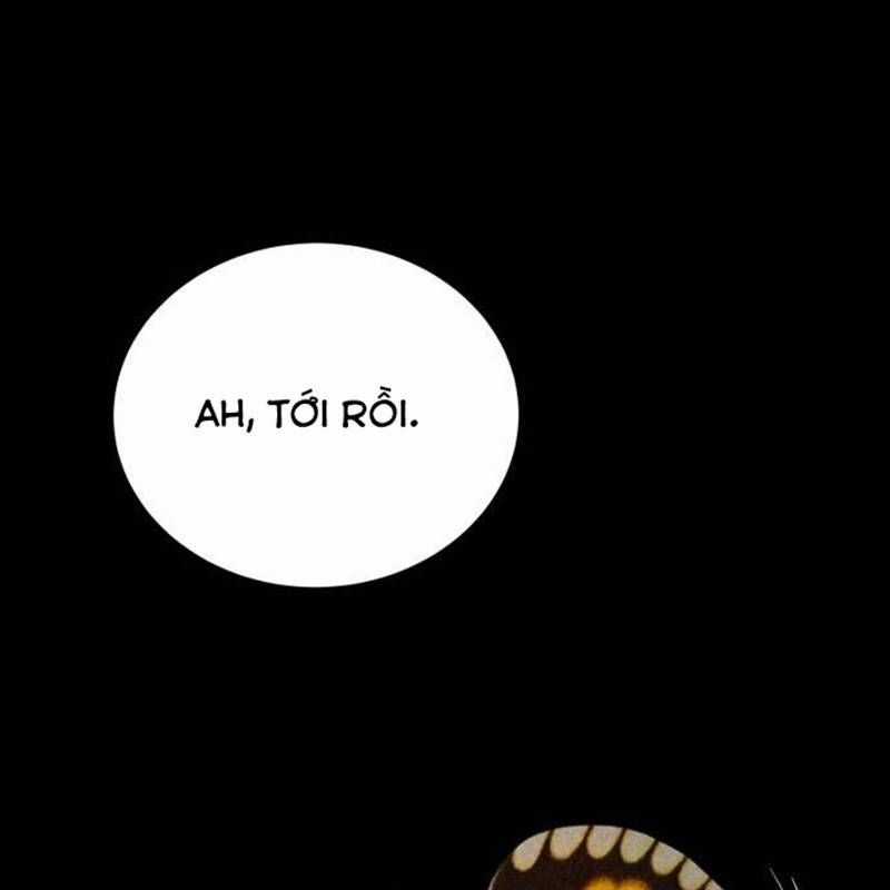 Nhân Vật Chính Ẩn Giấu Sức Mạnh Chapter 36 trang 238