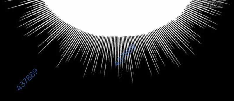 Nhân Vật Chính Ẩn Giấu Sức Mạnh Chapter 36 trang 269