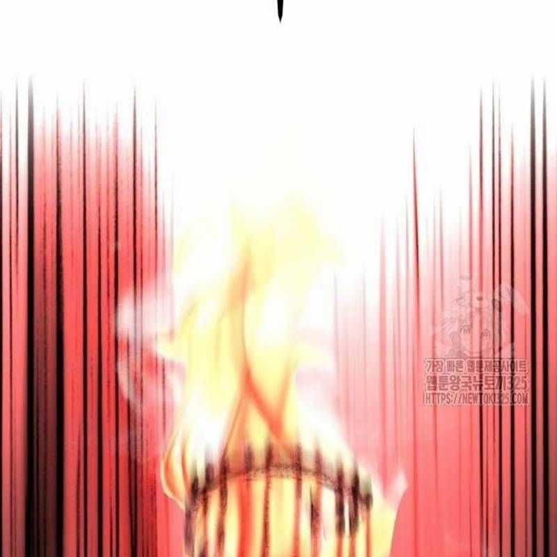 Nhân Vật Chính Ẩn Giấu Sức Mạnh Chapter 37 trang 241