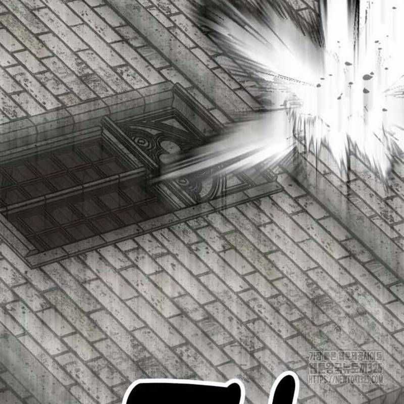 Nhân Vật Chính Ẩn Giấu Sức Mạnh Chapter 37 trang 29