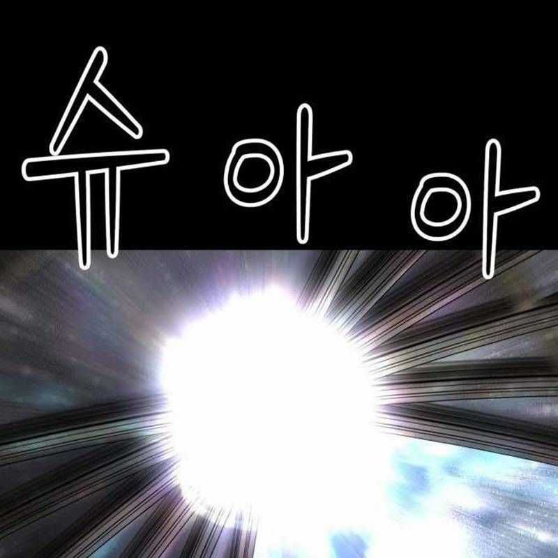 Nhân Vật Chính Ẩn Giấu Sức Mạnh Chapter 38 trang 253