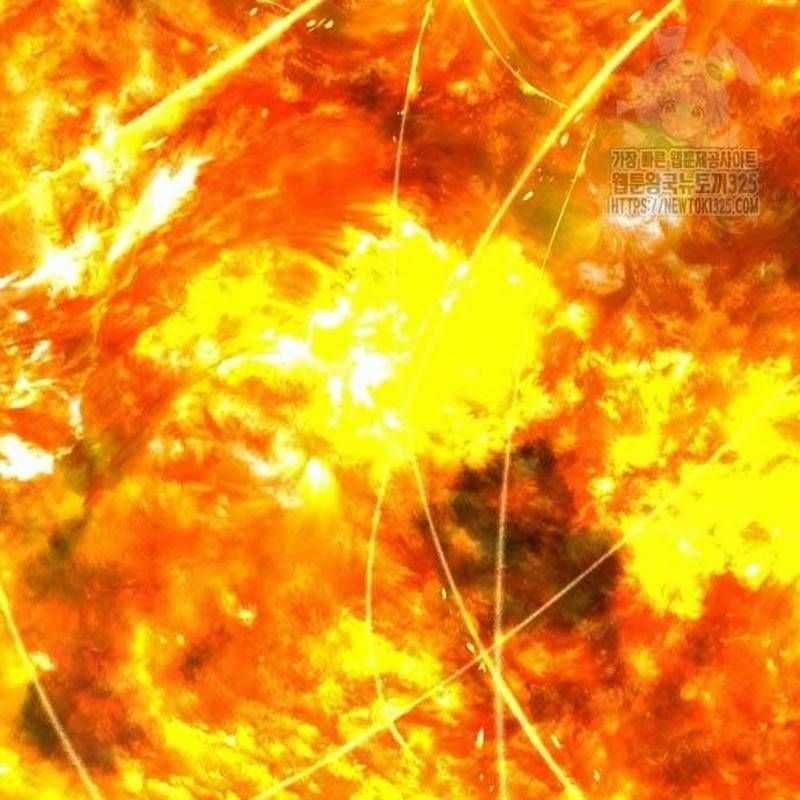 Nhân Vật Chính Ẩn Giấu Sức Mạnh Chapter 38 trang 281