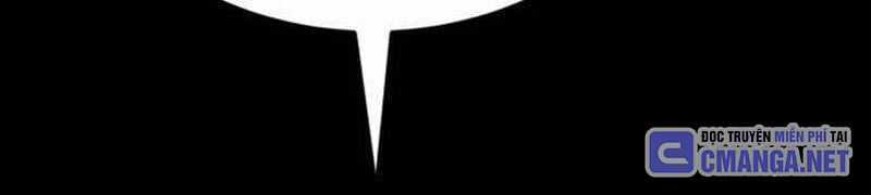 Nhân Vật Chính Ẩn Giấu Sức Mạnh Chapter 38 trang 333