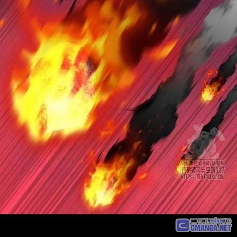 Nhân Vật Chính Ẩn Giấu Sức Mạnh Chapter 39 trang 255