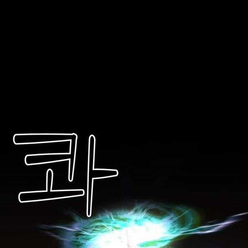 Nhân Vật Chính Ẩn Giấu Sức Mạnh Chapter 39 trang 257