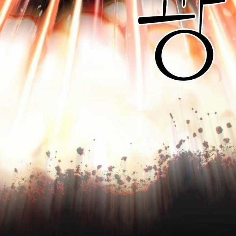 Nhân Vật Chính Ẩn Giấu Sức Mạnh Chapter 39 trang 259