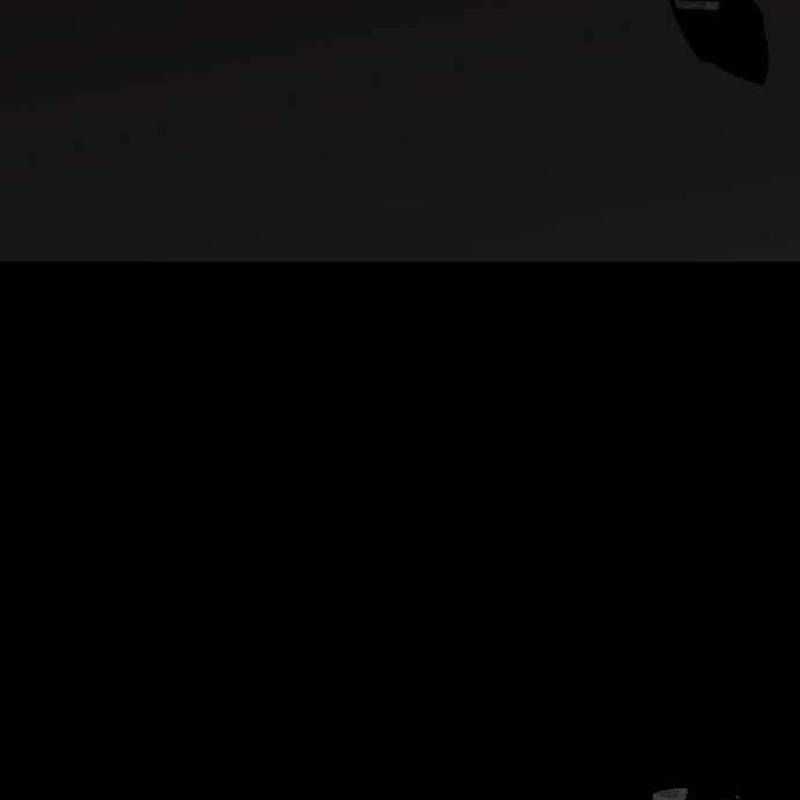 Nhân Vật Chính Ẩn Giấu Sức Mạnh Chapter 39 trang 281