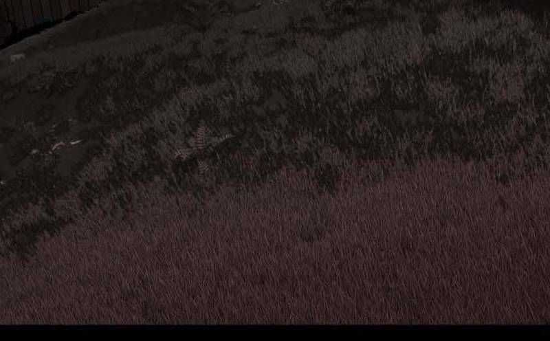 Nhân Vật Chính Ẩn Giấu Sức Mạnh Chapter 40 trang 202