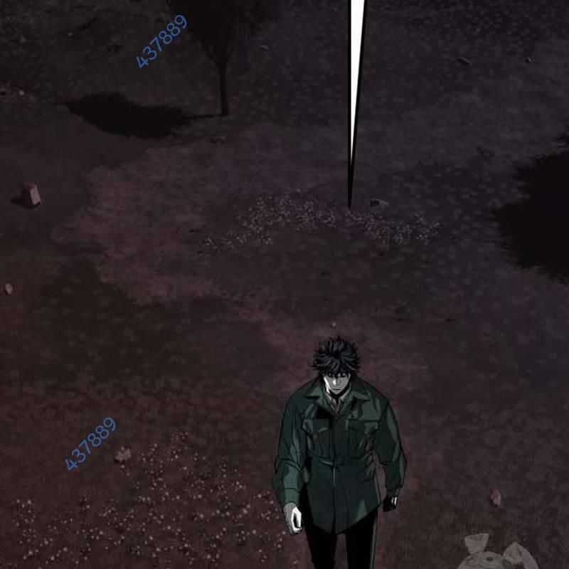 Nhân Vật Chính Ẩn Giấu Sức Mạnh Chapter 40 trang 257