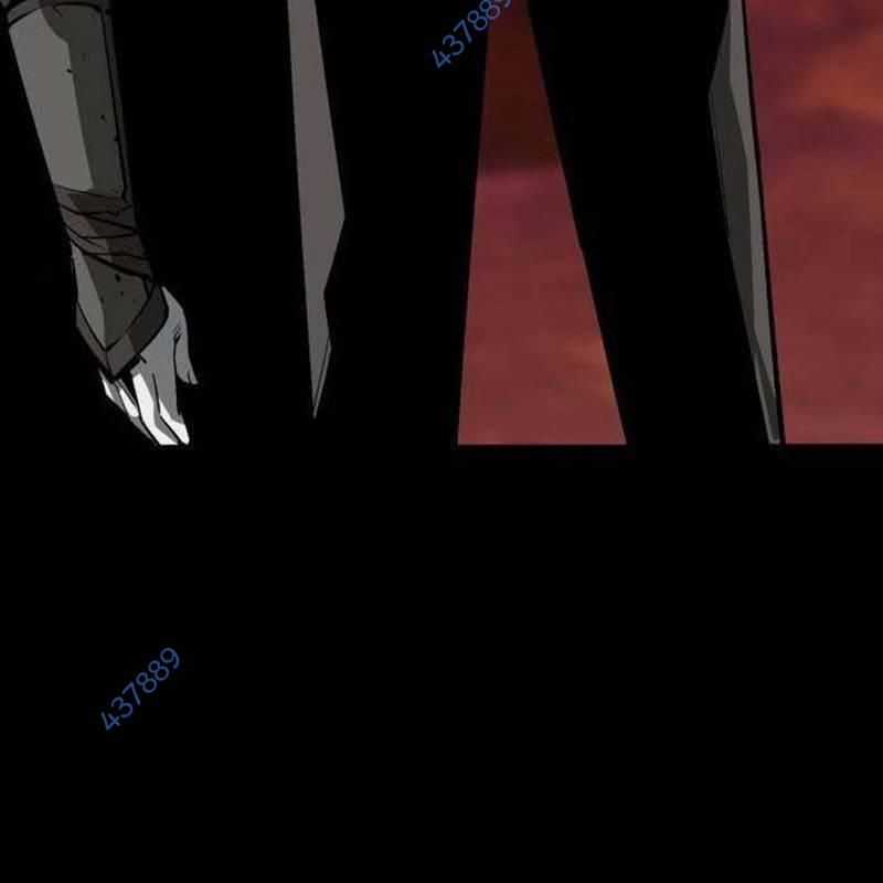 Nhân Vật Chính Ẩn Giấu Sức Mạnh Chapter 41 trang 13