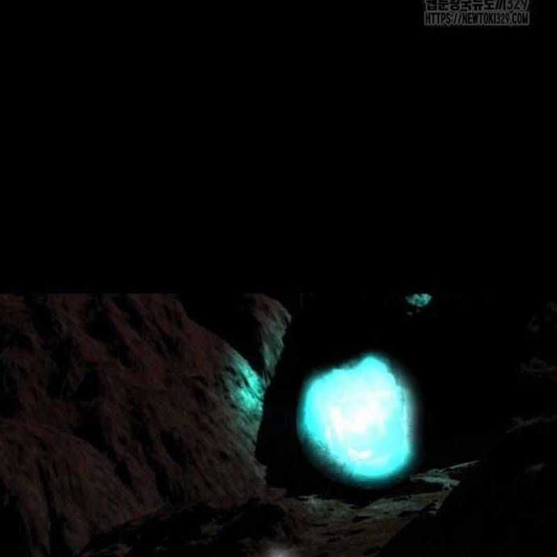 Nhân Vật Chính Ẩn Giấu Sức Mạnh Chapter 41 trang 178