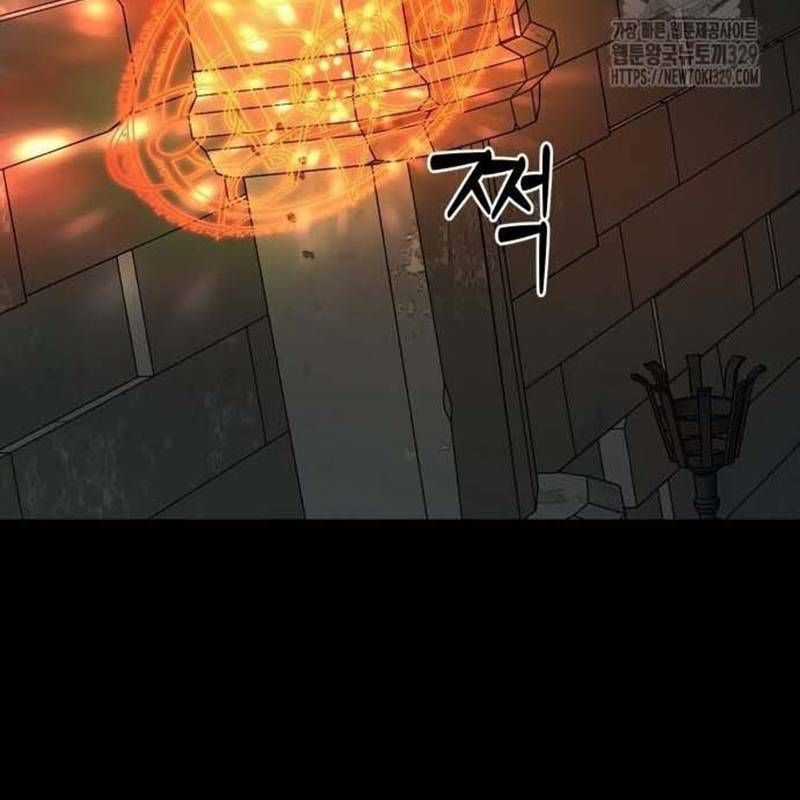 Nhân Vật Chính Ẩn Giấu Sức Mạnh Chapter 41 trang 214