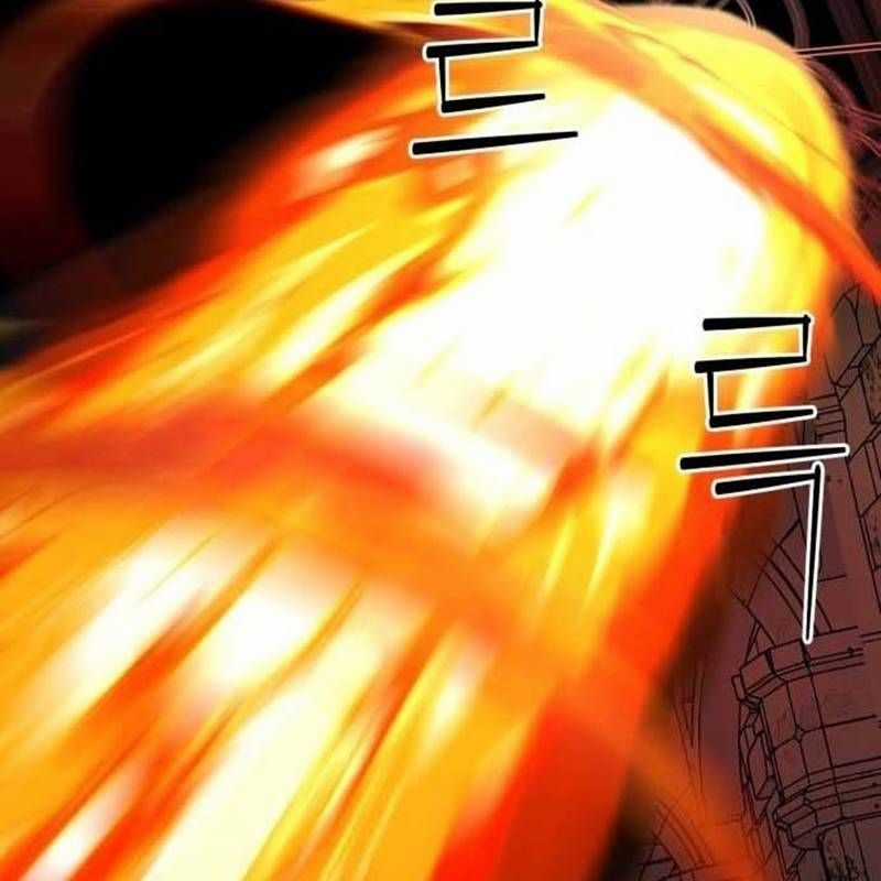 Nhân Vật Chính Ẩn Giấu Sức Mạnh Chapter 41 trang 217