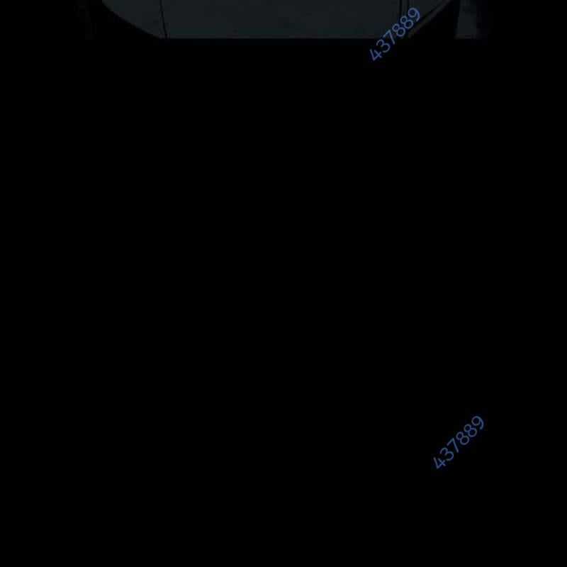 Nhân Vật Chính Ẩn Giấu Sức Mạnh Chapter 41 trang 227