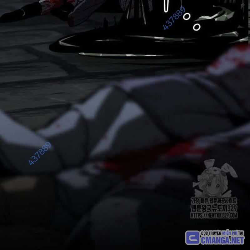 Nhân Vật Chính Ẩn Giấu Sức Mạnh Chapter 41 trang 237