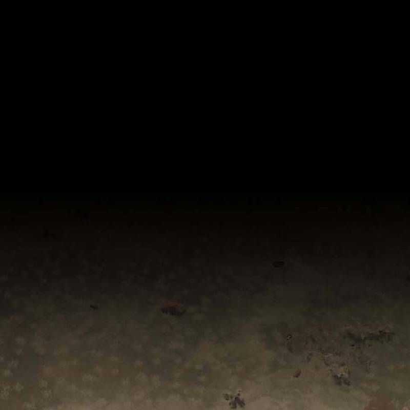 Nhân Vật Chính Ẩn Giấu Sức Mạnh Chapter 41 trang 34