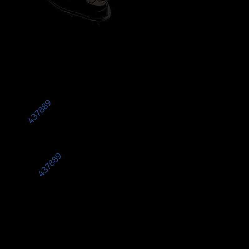 Nhân Vật Chính Ẩn Giấu Sức Mạnh Chapter 42 trang 253