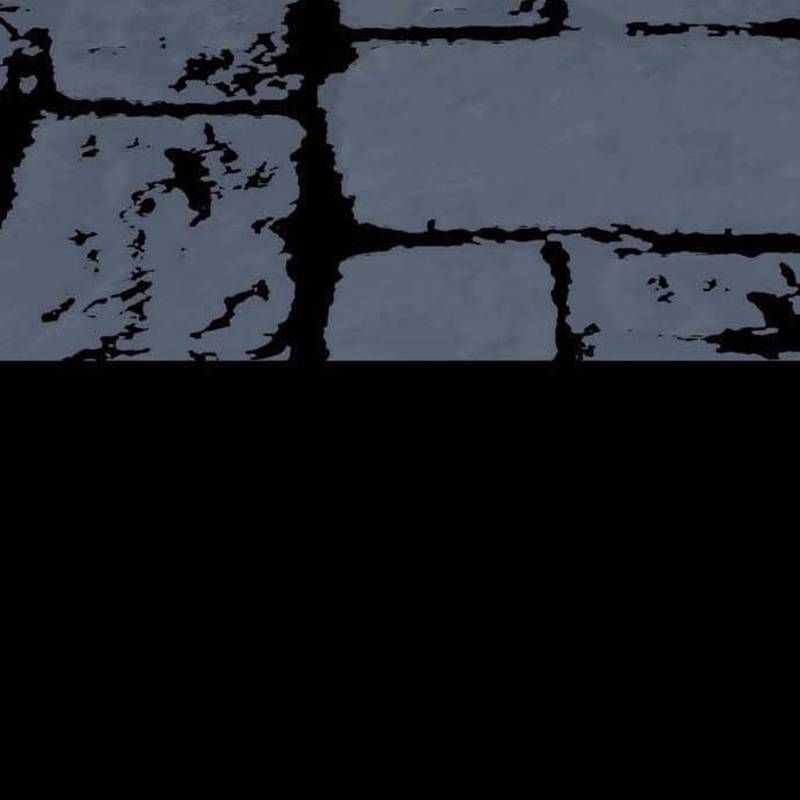 Nhân Vật Chính Ẩn Giấu Sức Mạnh Chapter 43 trang 50