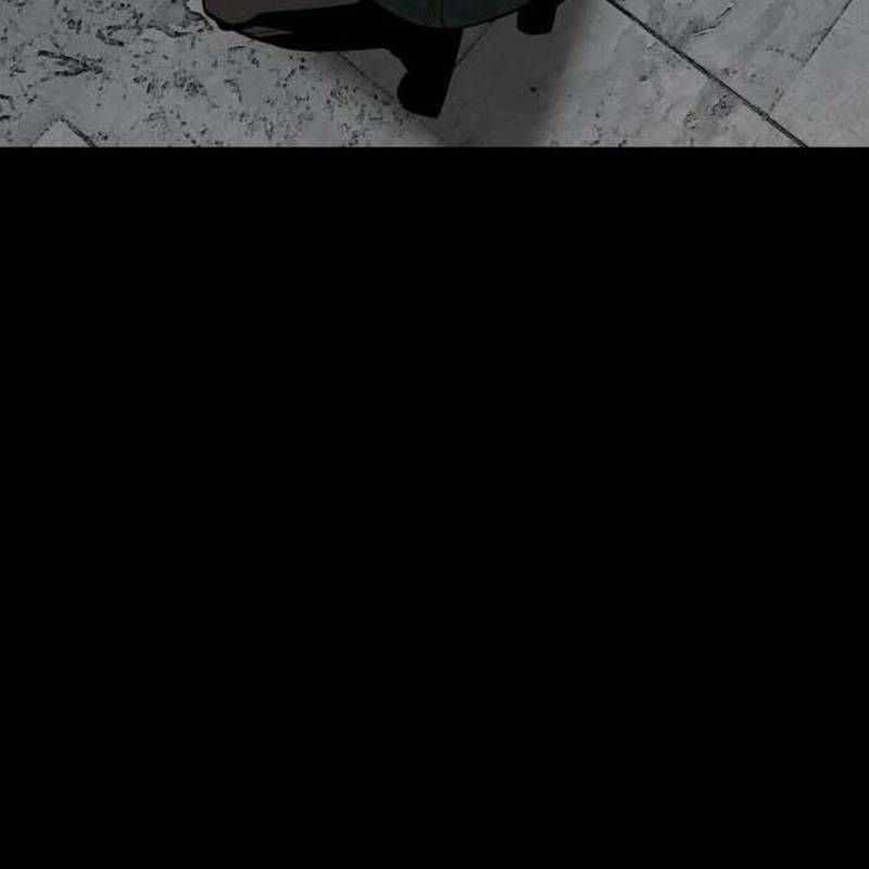 Nhân Vật Chính Ẩn Giấu Sức Mạnh Chapter 44 trang 185