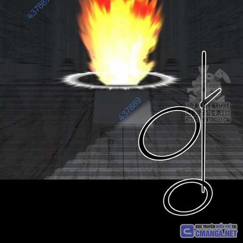 Nhân Vật Chính Ẩn Giấu Sức Mạnh Chapter 44 trang 213