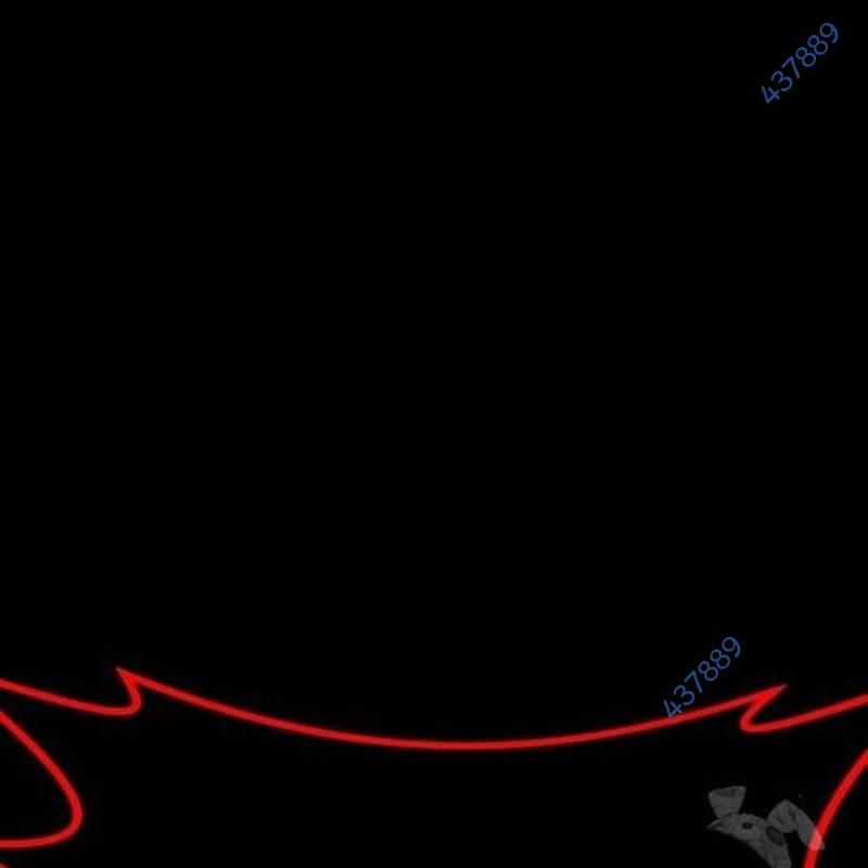 Nhân Vật Chính Ẩn Giấu Sức Mạnh Chapter 44 trang 217