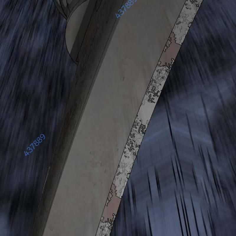 Nhân Vật Chính Ẩn Giấu Sức Mạnh Chapter 44 trang 221