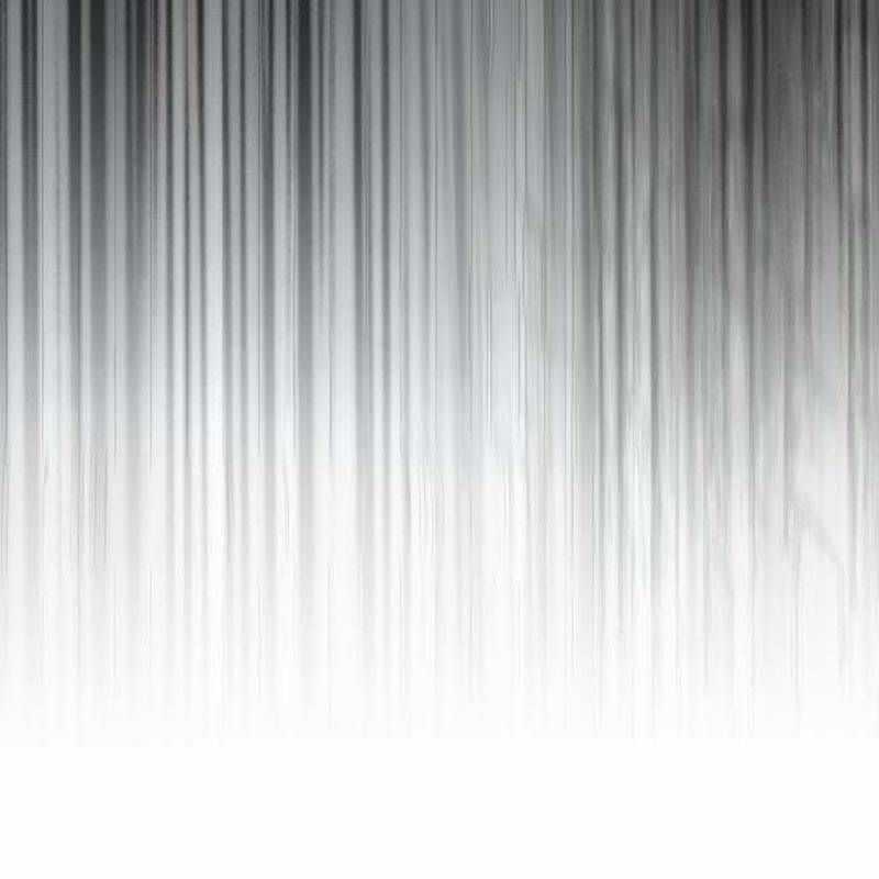 Nhân Vật Chính Ẩn Giấu Sức Mạnh Chapter 45 trang 221