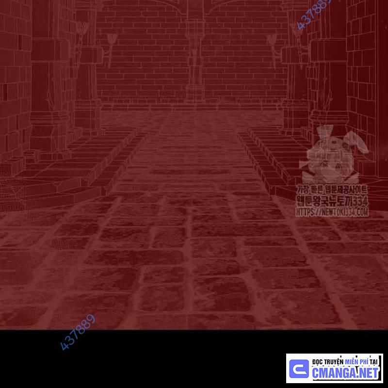 Nhân Vật Chính Ẩn Giấu Sức Mạnh Chapter 46 trang 255