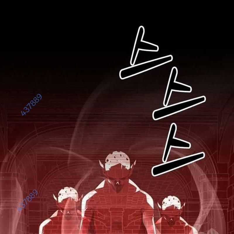 Nhân Vật Chính Ẩn Giấu Sức Mạnh Chapter 46 trang 259