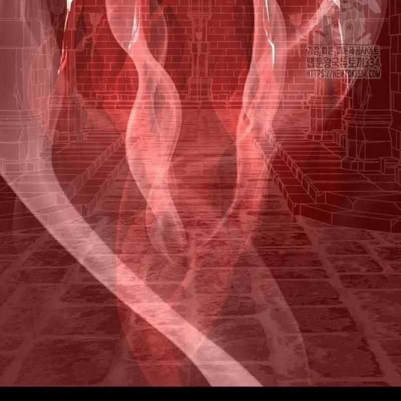 Nhân Vật Chính Ẩn Giấu Sức Mạnh Chapter 46 trang 260