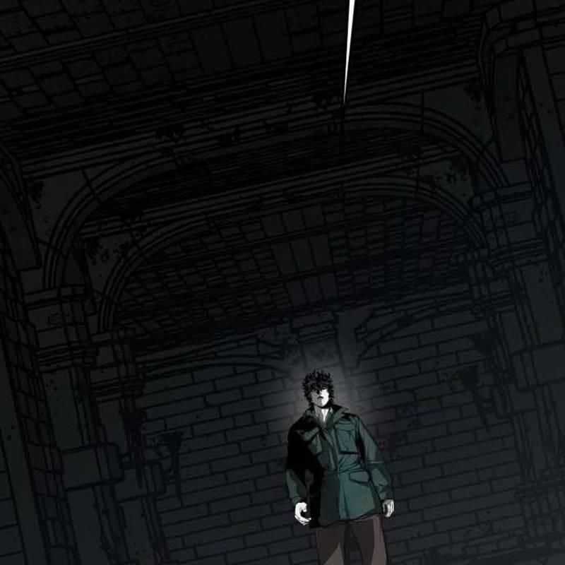 Nhân Vật Chính Ẩn Giấu Sức Mạnh Chapter 46 trang 37