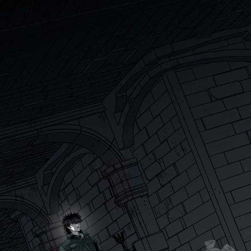 Nhân Vật Chính Ẩn Giấu Sức Mạnh Chapter 47 trang 190