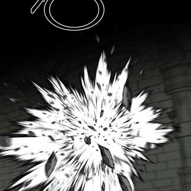 Nhân Vật Chính Ẩn Giấu Sức Mạnh Chapter 47 trang 211